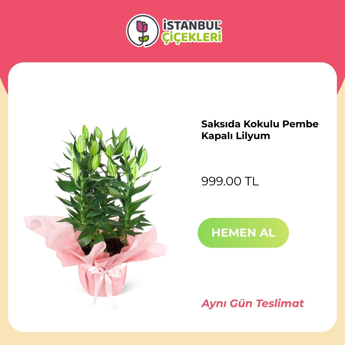 Istanbul Cicekleri — Flowers & Gifts
